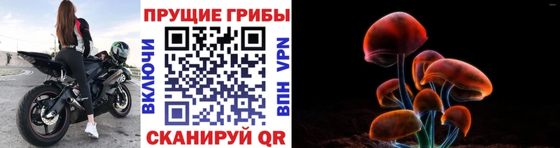 Купить закладки  Ковдор  Псилоцибиновые грибы мухоморы 