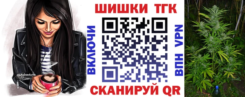 Купить где Ковдор Конопля MAZAR